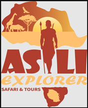 Asili Explorer Safaris