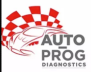 Auto-Prog Diagnostics