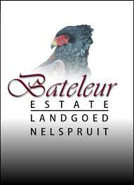 Bateleur