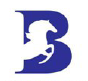 Begira Security