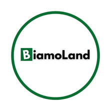 Biamo Group Ltd.