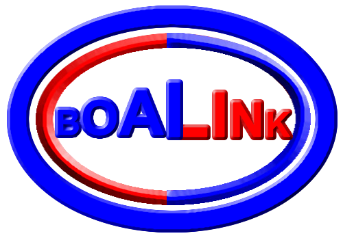Boalink Automobile Parts Ltd.
