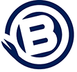 Borg Pharmaceutical company