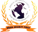 Brava Security