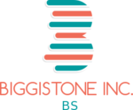 BiggiStone Inc.