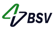 BS Vision Construction Co. Ltd.