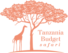 Tanzania Budget Safari