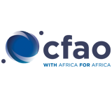 Cfao Group