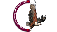 Chalkoko Birding and Wildlife Safaris