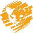 Cheetah Revolution Safaris
