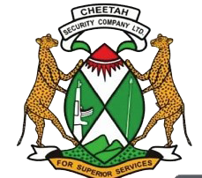 Cheetah Security