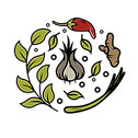 Chiraflora Pvt Ltd.