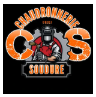 CHS INDUSTRIE