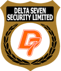 Delta Seven Security
