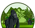 Engagi Safaris Ltd.