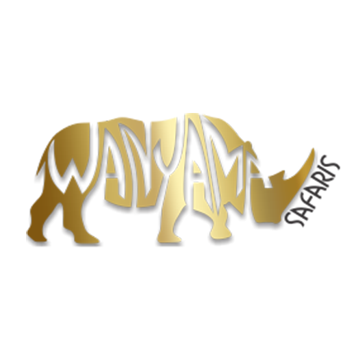 Wanyama Safaris