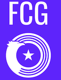Finance Consulting Group