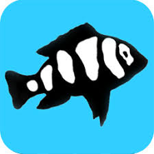 Aquatrade Ltd.