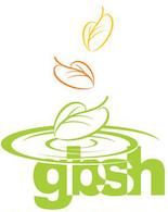 GBSH Consult