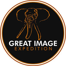 Great Image Expedition Ltd.