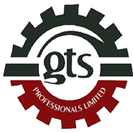GTS Professionals Ltd.