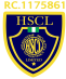 Headstone Security & Consultancy Ltd.