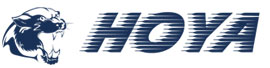 China Hoya International Group Ltd. 