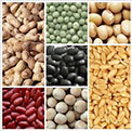 J-Spark Agro Foods