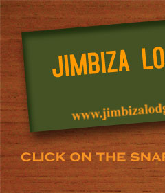 Jimbiza Lodges
