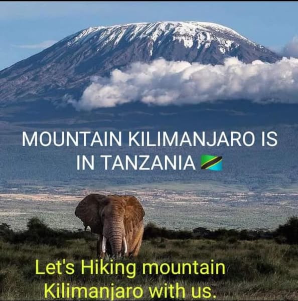 Afrilinks Safaris & Tours