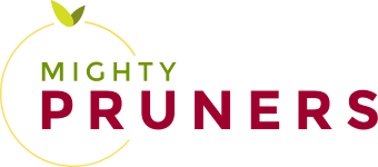 Mighty Pruners