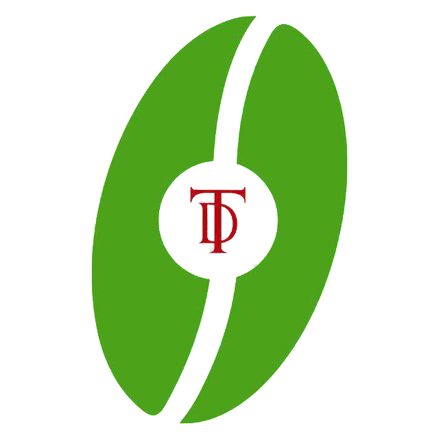 Tadesse Desta Business Group