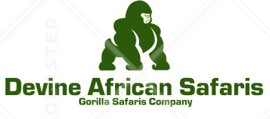 Devine African Safaris Ltd.