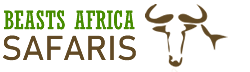 Beast Africa Safaris 