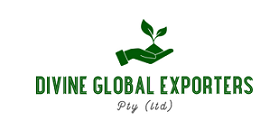 DIVINE GLOBAL EXPORTERS 