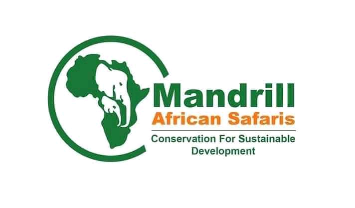 Mandrill African Safaris 