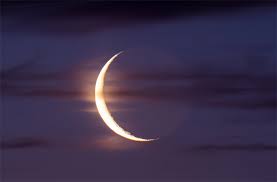 Lavender Moon Trading 180cc