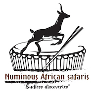 NUMINOUS AFRICAN SAFARIS