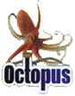 Octopus Security & Allied Services