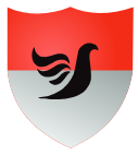 Raven Shield Security
