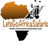 East Africa Safari Bookers