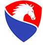 Stallion Security