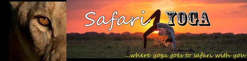 Safari Yoga