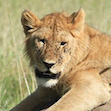 Adventure Makers Tanzania