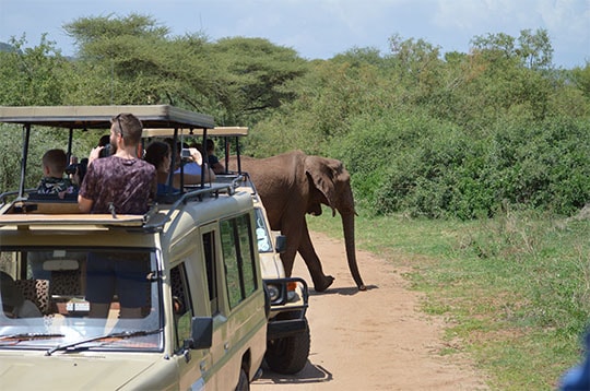 Sykes Travel Ltd.