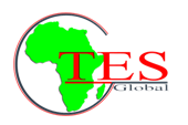 TES GLOBAL SOLUTIONS LTD.