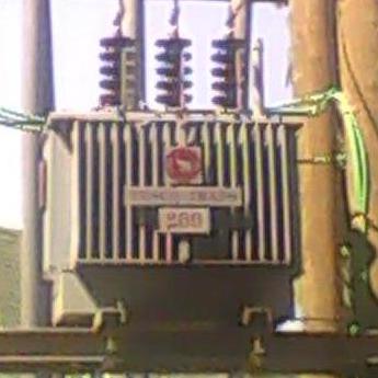 Transmission Electric Network Ltd.