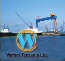 Wafem TZ Ltd. 