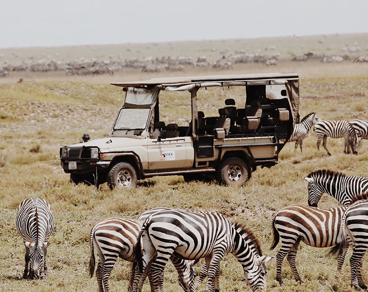 Asante Tanzania Safaris
