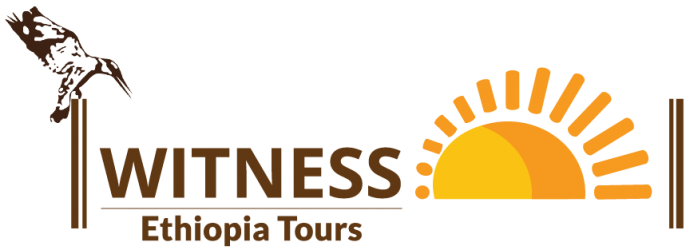 Witness Ethiopia Tours